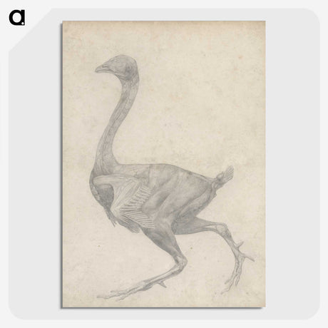 2-30_George-Stubbs_picture-crop