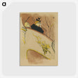 2-30_Henri-de-Toulouse-Lautrec_postcard