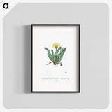 2-30_Histoire-des-Plantes-Grasses_blk