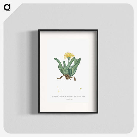 2-30_Histoire-des-Plantes-Grasses_blk