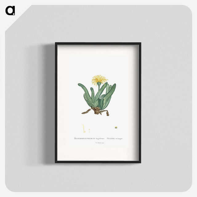 2-30_Histoire-des-Plantes-Grasses_blk