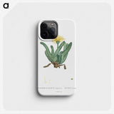 2-30_Histoire-des-Plantes-Grasses_phone