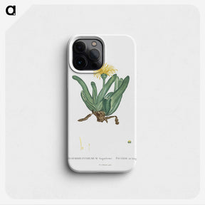 2-30_Histoire-des-Plantes-Grasses_phone