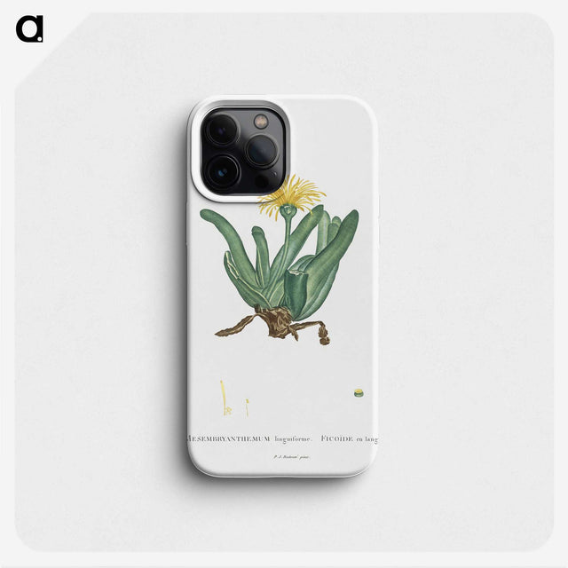 2-30_Histoire-des-Plantes-Grasses_phone