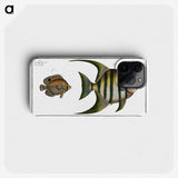 2-30_Ichtyologie-ou-Histoire-naturelle_phone