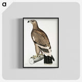 2-30_Indian-Zoology_blk-crop
