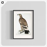 2-30_Indian-Zoology_blk