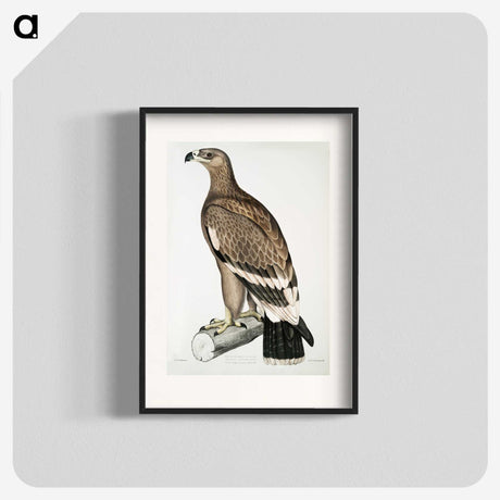 2-30_Indian-Zoology_blk