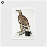 2-30_Indian-Zoology_hagaki