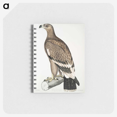 2-30_Indian-Zoology_memo