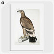 2-30_Indian-Zoology_picture