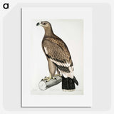 2-30_Indian-Zoology_picture