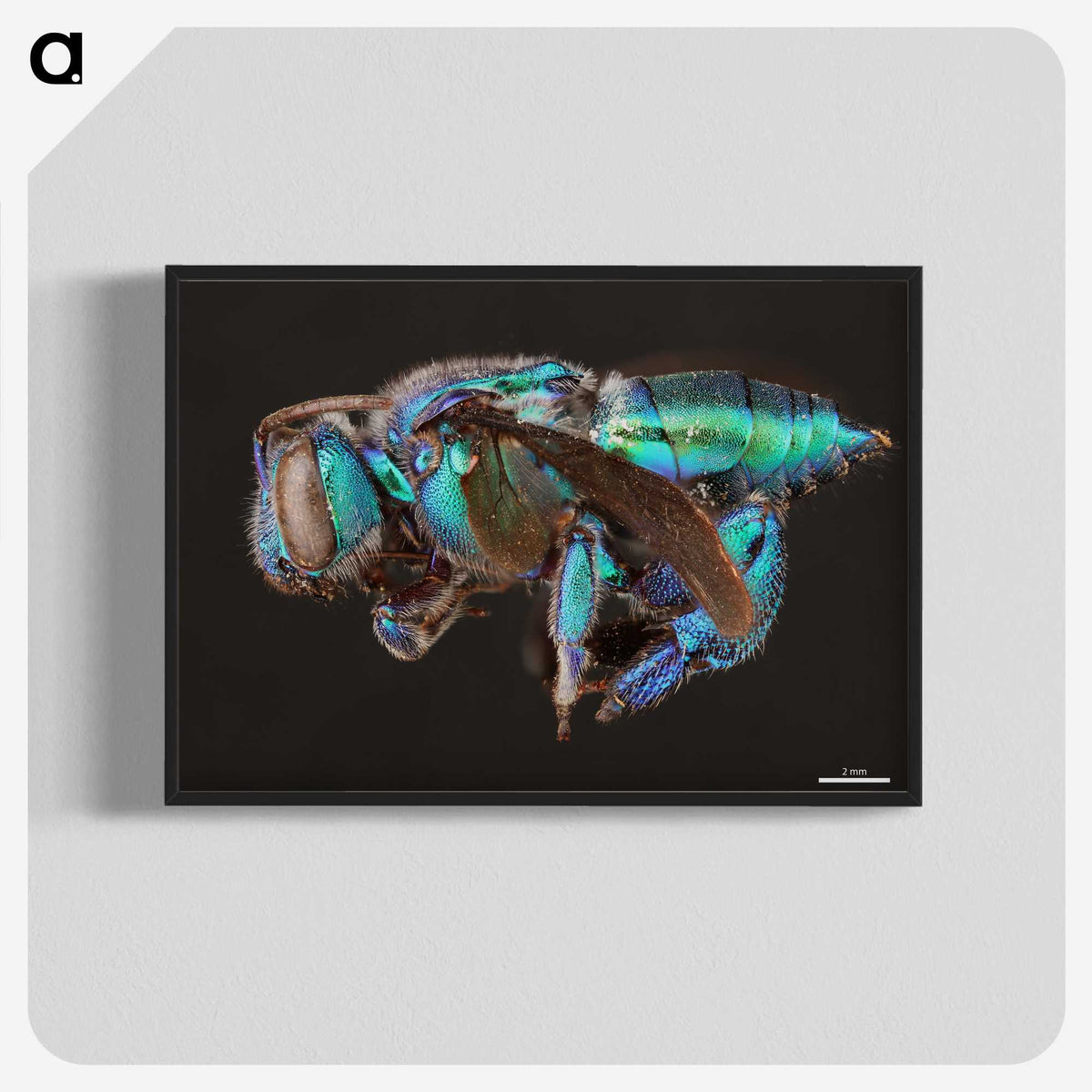 2-30_Insects-Unlocked-Project_blk-crop