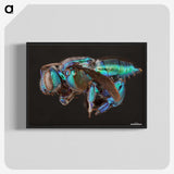 2-30_Insects-Unlocked-Project_blk-crop