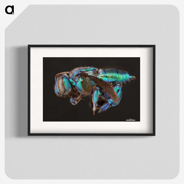 2-30_Insects-Unlocked-Project_blk