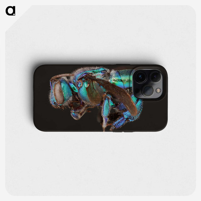 2-30_Insects-Unlocked-Project_phone