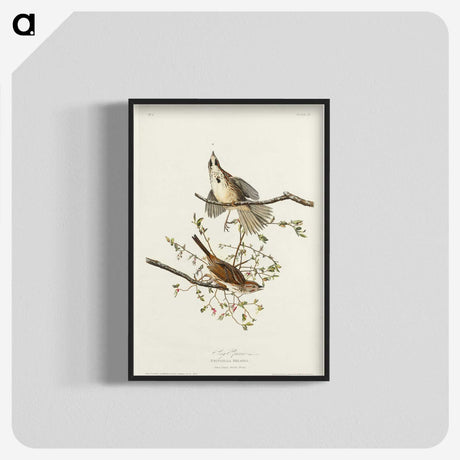 2-30_John-James-Audubon_blk-crop