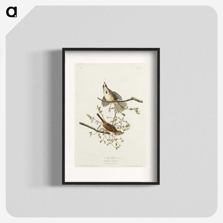 2-30_John-James-Audubon_blk