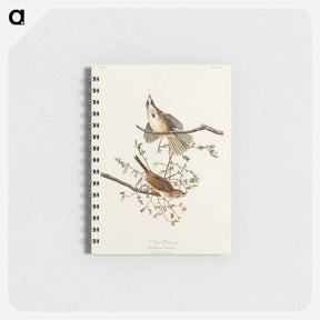 アートメモ帳-Song Sparrow
 - ジョン ジェームス オーデュボン Memo.