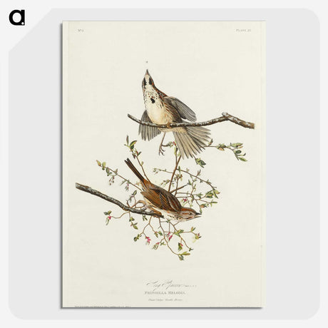 2-30_John-James-Audubon_picture-crop