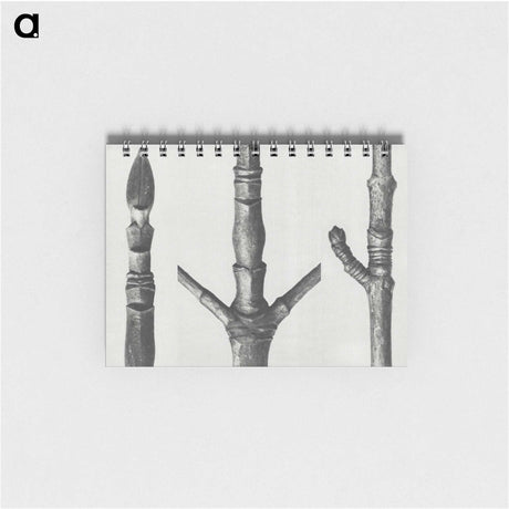 2-30_Karl-Blossfeldt_memo