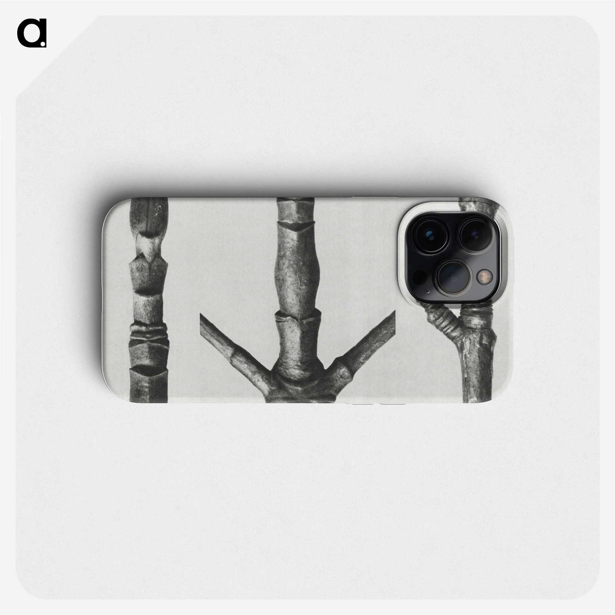 2-30_Karl-Blossfeldt_phone