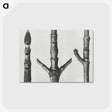 2-30_Karl-Blossfeldt_postcard