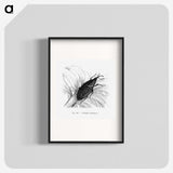 2-30_Les-Palmiers-Histoire-Iconographique_blk