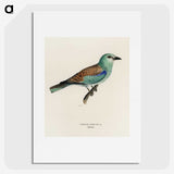 2-30_Magnus-von-Wright_picture
