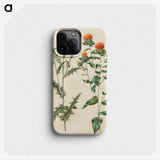 2-30_Maria-Sibylla-Merian_phone