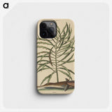 2-30_Mark-Catesby_phone
