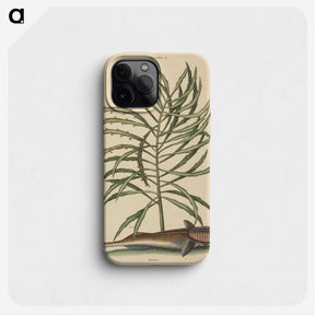 2-30_Mark-Catesby_phone