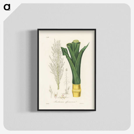 2-30_Medical-Botany_blk-crop