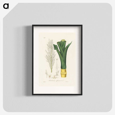 2-30_Medical-Botany_blk