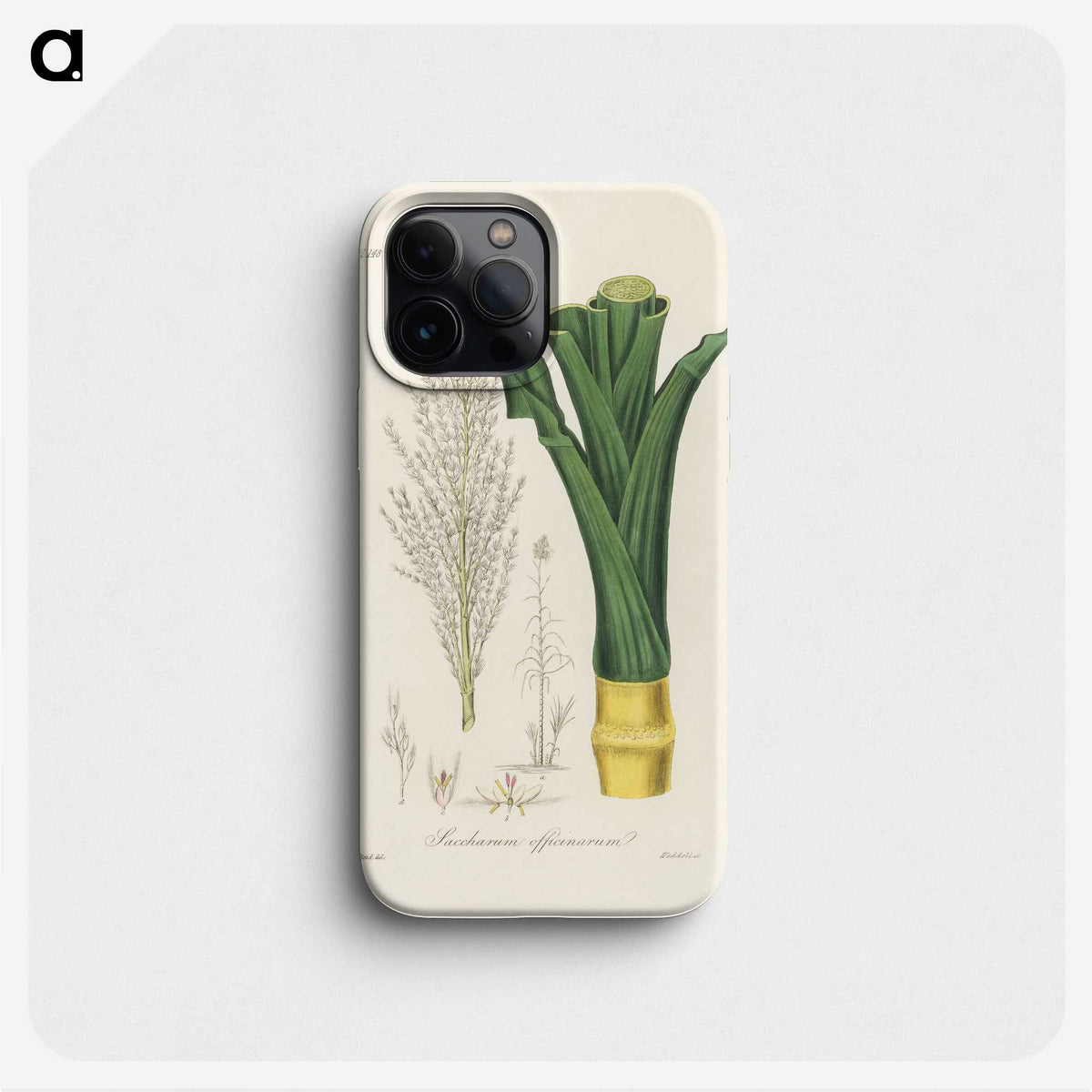 2-30_Medical-Botany_phone
