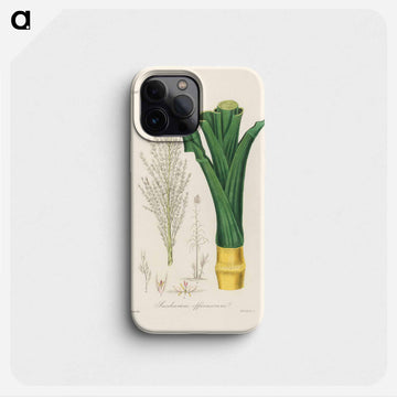 Sugarcane
 - 薬用植物学 Phone Case.