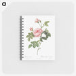 2-30_Pierre-Joseph-Redoute_memo