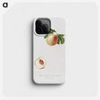 2-30_Pomona-Italiana_phone