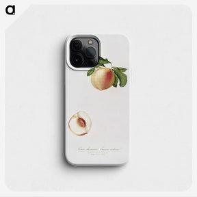 2-30_Pomona-Italiana_phone