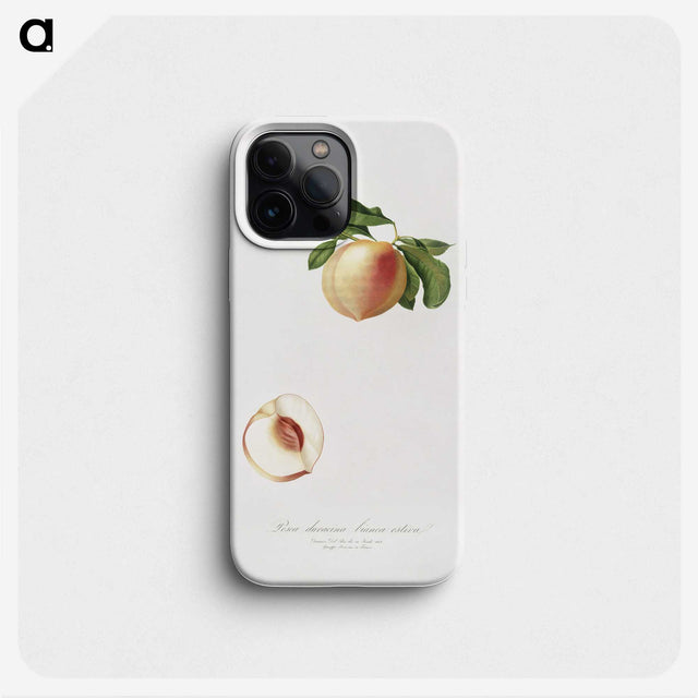 2-30_Pomona-Italiana_phone