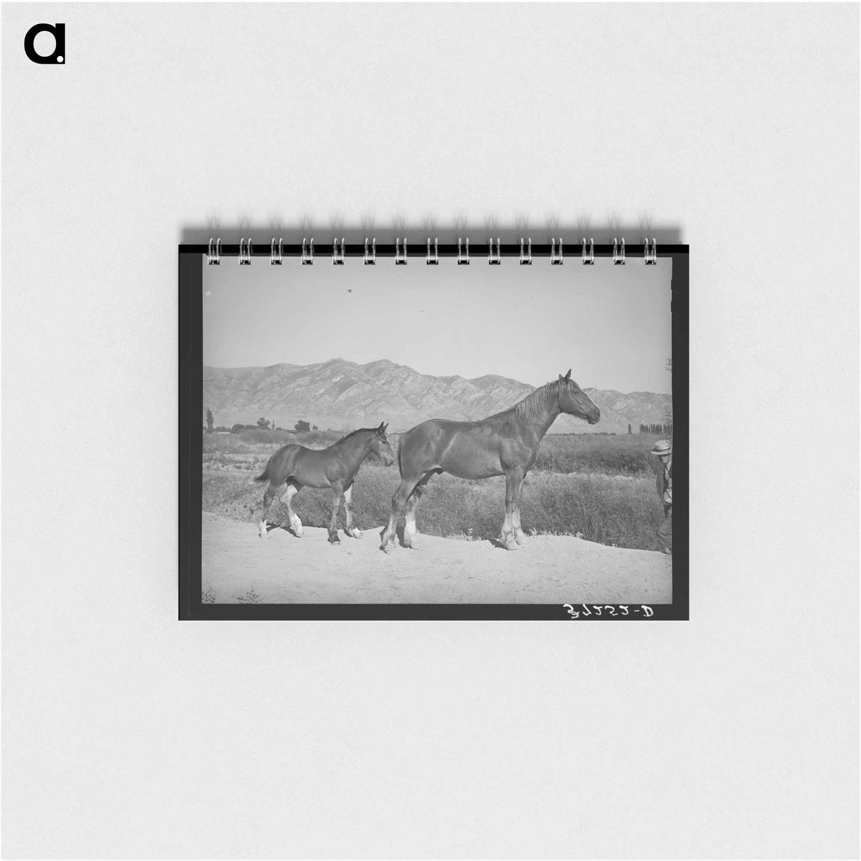 アートメモ帳-Railroad Tracks, Oakridge
 - ラッセル リー Memo.