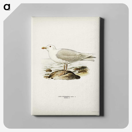 2-30_Svenska-Faglar_canvas