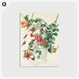 アートポストカード-Ruby-throated Humming Bird from Birds of America
 - アメリカの鳥たち Postcard.