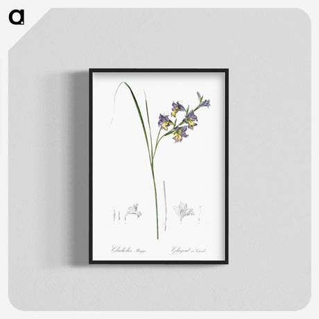 2-30_The-Lilies_blk-crop