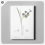 2-30_The-Lilies_canvas