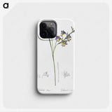 2-30_The-Lilies_phone