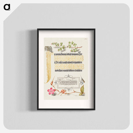アートポスター-Basil Thyme, Insect, and Herb Robert from Mira Calligraphiae Monumenta
 - 書道のお手本 Poster.
