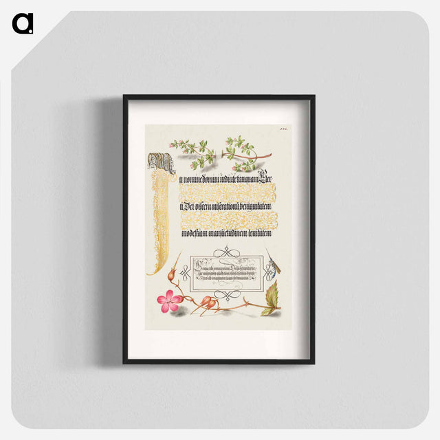 アートポスター-Basil Thyme, Insect, and Herb Robert from Mira Calligraphiae Monumenta
 - 書道のお手本 Poster.