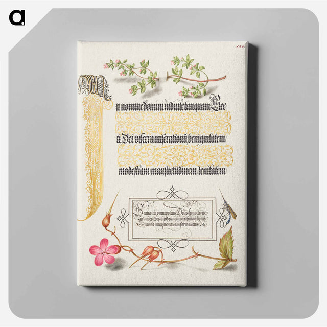 アートパネル-Basil Thyme, Insect, and Herb Robert from Mira Calligraphiae Monumenta
 - 書道のお手本 Canvas.