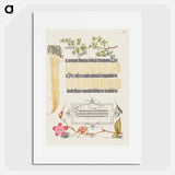 アートポスター-Basil Thyme, Insect, and Herb Robert from Mira Calligraphiae Monumenta
 - 書道のお手本 Poster.